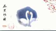 Flower Swan  Bird  , Pre-stamped Card , Postal Stationery - Cisnes