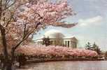 PE-55.JEFFERSON MEMORIAL.WASHINGTON D.C. - Washington DC