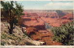 FLAGSTAFF (Environs) [Arizona ~ Etats Unis] - The Grand Canyon - Grand Canyon