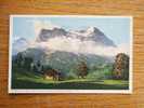 Eiger - Grindelwald BE- CH   1910´s  VF  D16145 - Grindelwald