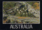 Fleurs Sauvages Australiennes.  Cp Neuve. PRIX REDUIT! REDUCED PRICE! - Other & Unclassified