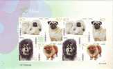 2006-6 CHINA SA-4 PET DOG S.A.SHEETLET - Blocks & Kleinbögen