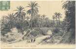 Tunisie.1912.Gabes.Aqueduc.oasis.pte Anim. - Tunisie
