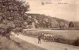 Waulsort - Route De Dinant - Attelage De Halage De Bateaux - Hastiere