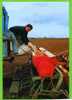 ORLU 1994 EN BEAUCE REMPLISSAGE DU SEMOIR NODET GOUGIS AVEC SEMENCE D ORGE PHOTO M. LAURENT CARTE SUPERBE ETAT - Landbouw