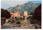 SOSPEL (Alpes-Maritimes ) Le Vieux Pont  ; TB - Sospel