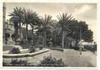 Italia.Palermo.Villa Igea.Grand Hôtel.Giardino. - Palermo