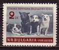 L1627 - BULGARIE BULGARIA AERIENNE Yv N°81 ** ESPACE SPACE - Airmail