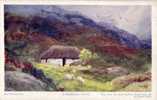 CPA Belle Carte Illustration Raphael TUCK " OILETTE "connaiseur A HIGHLAND CROFT - MacWhiter " N°2979 - Tuck, Raphael