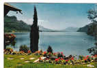 CP - PHOTO - LAC DU BOURGET - ECHAPPEE SUR LE LAC - CIM - Le Bourget Du Lac