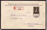 LIECHTENSTEIN USED COVER MICHEL 256 - Lettres & Documents