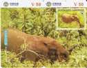 PUZZLE DE CHINA DE 2 TARJETAS CON SELLO DE UN ELEFANTE DE GABON WWF (STAMP-ELEPHANT) - Timbres & Monnaies