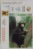 Chimpanzee,China 2002 Rare & Precious Animal Advertising Pre-stamped Card - Chimpancés