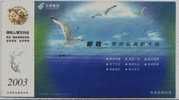 Seagull Bird,China 2003 Wuhu Post Office Advertising Pre-stamped Card - Gaviotas