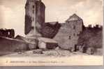 50 --- Bricquebec --- Le Vieux Chateau Et Le Donjon - Bricquebec