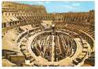 Colosseo-interno  ROMA - Colosseum