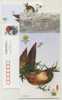 Bamboo Shoot,Food,CN 01 China Int'l Fruit & Vegetable Fair 2001 Advertising Postal Stationery Card - Vegetables