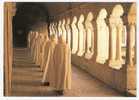 Abbaye De SENANQUE (Vaucluse) : Moines En Procession Dans Le Cloitre ; B/TB - L'Isle Sur Sorgue