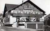 74 ST JEOIRE En FAUCIGNY Hotel Des Alpes - Saint-Jeoire