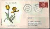 Fdc Danemark 1980 Handicaps 1955 Fondation Fauteuil Roulant Stylisé Ill. Marigold - Handicaps