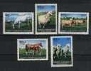 TURQUIE - TURKEY 1964 5 Valeurs Neuves (MNH**) N° YT 1699/1703 - Farm