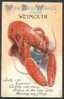 Big Lobster - Novelty Card With Views Of Weymouth U.K. - Poissons Et Crustacés
