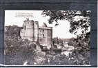 LOIRE ATLANTIQUE - Clisson - Le Château Et La Sèvre Vers Le Pont Du Nid D'Oie - Clisson