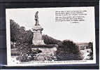 LOIRE ATLANTIQUE - Ancenis - Le Square Et La Statue De Joachim De Bellay, Au Bord De La Loire - Ancenis