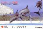 Carte Japon - DAUPHIN  - DOLPHIN Japan Bus Card - DELPHIN - 23 - Dolfijnen