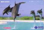 Carte Japon - DAUPHIN - Série Animaux Lagare 1998/3 - DOLPHIN Japan Card - DELPHIN - GOLFINO - 45 - Dauphins