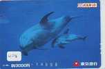 DOLPHIN (428) DAUPHIN DELPHIN Dolfijn WHALE Tier Animal  POISSON - Delfines