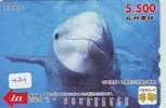 DOLPHIN (429) DAUPHIN DELPHIN Dolfijn WHALE Tier Animal  POISSON - Delfini