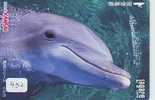 DOLPHIN (432) DAUPHIN DELPHIN Dolfijn WHALE Tier Animal  POISSON - Delfines