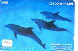 DOLPHIN (433) DAUPHIN DELPHIN Dolfijn WHALE Tier Animal  POISSON - Dolphins