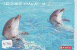 DOLPHIN (436) DAUPHIN DELPHIN Dolfijn WHALE Tier Animal  POISSON - Delfines