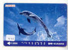 DOLPHIN (435) DAUPHIN DELPHIN Dolfijn WHALE Tier Animal  POISSON - Dolphins