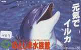 DOLPHIN (449) DAUPHIN DELPHIN Dolfijn WHALE Tier Animal  POISSON - Dolphins