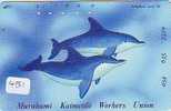 DOLPHIN (451) DAUPHIN DELPHIN Dolfijn WHALE Tier Animal  POISSON - Delfines