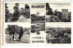 C3815 - BEAUMONT - Tour Salamandre - Beaumont