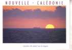 New Caledonia Island Postcard - Carte Postale De L´ile De Nouvelle Caledonie - New Caledonia