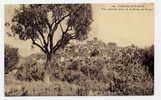 I1 - CAGNES-sur-MER - Vue Générale Prise D Ela Route De VENCE (1927) - Cagnes-sur-Mer