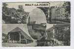 MILLY LA FORÊT - Milly La Foret