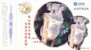 Endanged Specie  Koala Kola  ,  Pre-stamped Card , Postal Stationery - Ours
