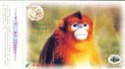 Endangered Specie Golden Monkey ,   Pre-stamped Card , Postal Stationery - Monkeys