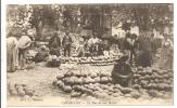 84 - CAVAILLON  -  Le Marché Aux Melons  - Belle Animation - Cavaillon