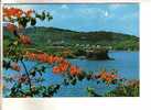 GOOD ST LUCIA POSTCARD - View Of La Toc Village From Vigie Peninsular, Castries - Otros & Sin Clasificación