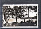 LOIRE ATLANTIQUE - Saint Brévin L'Océan - Vue D'ensemble De La Plage Sous Les Pins - Saint-Brevin-l'Océan