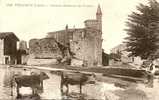 154 PELUSSIN (Loire) : Ancien Chateau De Virieu - CPA VACHEMENT ANIMEE - Courrier De 1917 - Pelussin