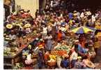 POINTE A PITRE -  Marché SAINT ANTOINE  - N° 5490 - Pointe A Pitre