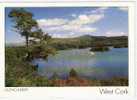 Irlande / Ireland , GLENGARRIFF , West Cork ;B/TB - Cork